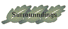 Surrounndings